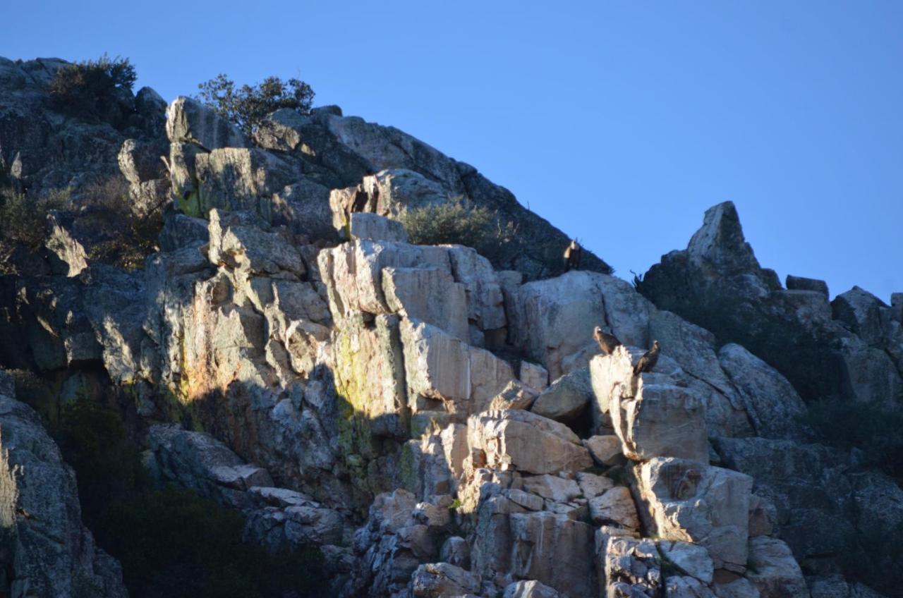 Alojamiento La Canada Monfrague Торрехон-ель-Рубіо Екстер'єр фото